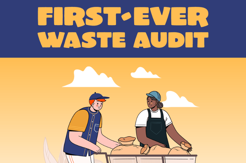 Waste Audit graphic