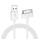 iPhone legacy 30-pin connector cable