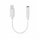 iPhone lightning headphone adapter