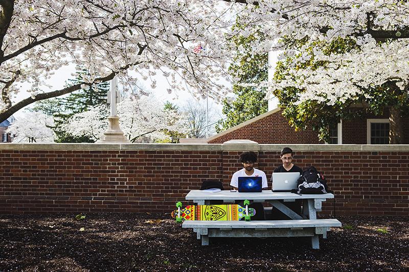 Students at a picnic table on campus