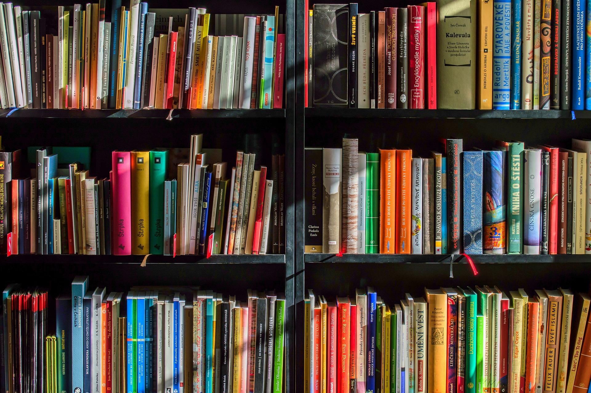 Colorful photograph of books on a shelf