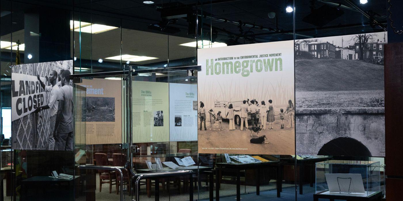 Photo of the Homegrown exhibit in Hornbake Library.