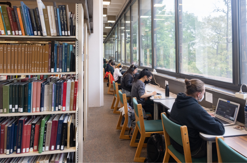 Students Studying