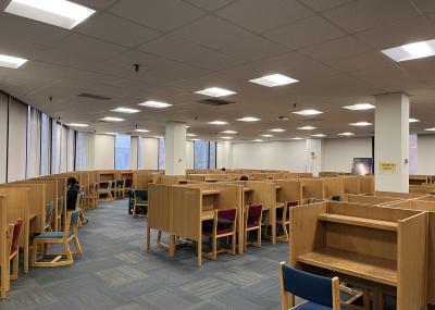 Carpeted area with overhead lighting, windows running along two walls with individual wooden desk stations and chairs in rows